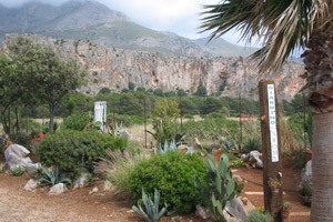 campsite